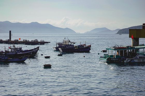 10 Xu Hướng Thiết Kế Nhà Phố Đáng Chú Ý Năm 2023