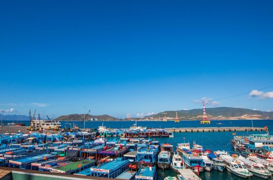 10 Xu Hướng Thiết Kế Nhà Phố Năm 2025: Đổi Mới Không Gian Sống
