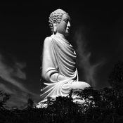 nhà đẹp
