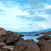 thiết kế nhà đẹp